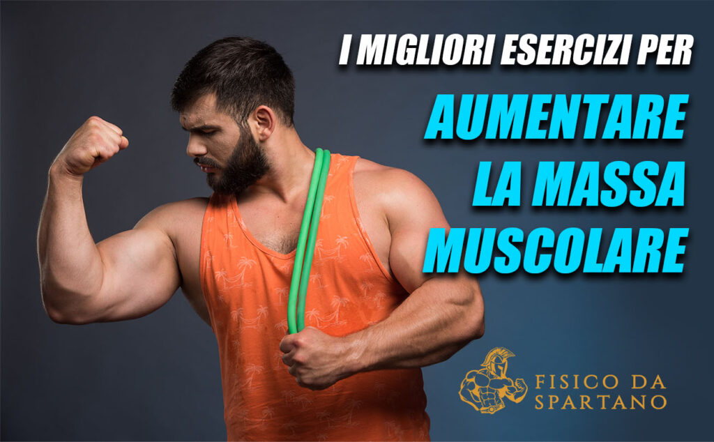 esercizi per aumentare massa muscolare