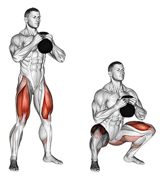 goblet squat muscoli coinvolti 